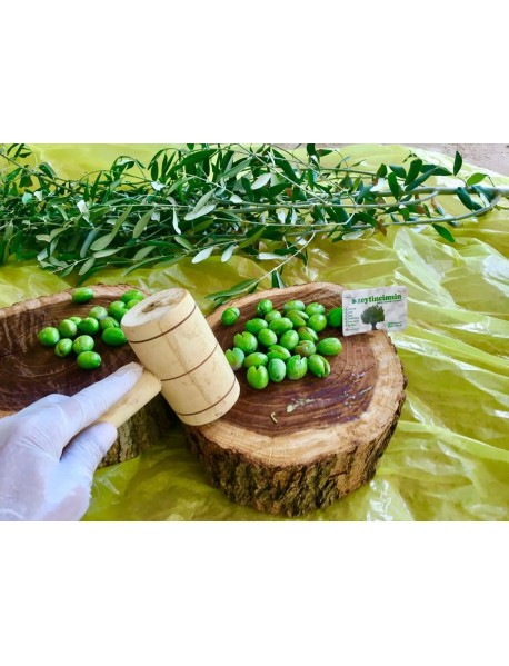 Yeşil Zeytin ( 5 KG)