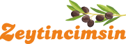 Zeytincimsin